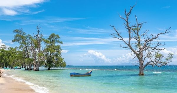 L'oasis insoupçonnée de Tuvalu : Plages et lagon à couverts !