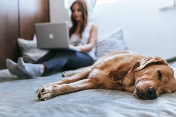 Retraite digitale : les meilleures destinations pour télétravailler tout en explorant le monde