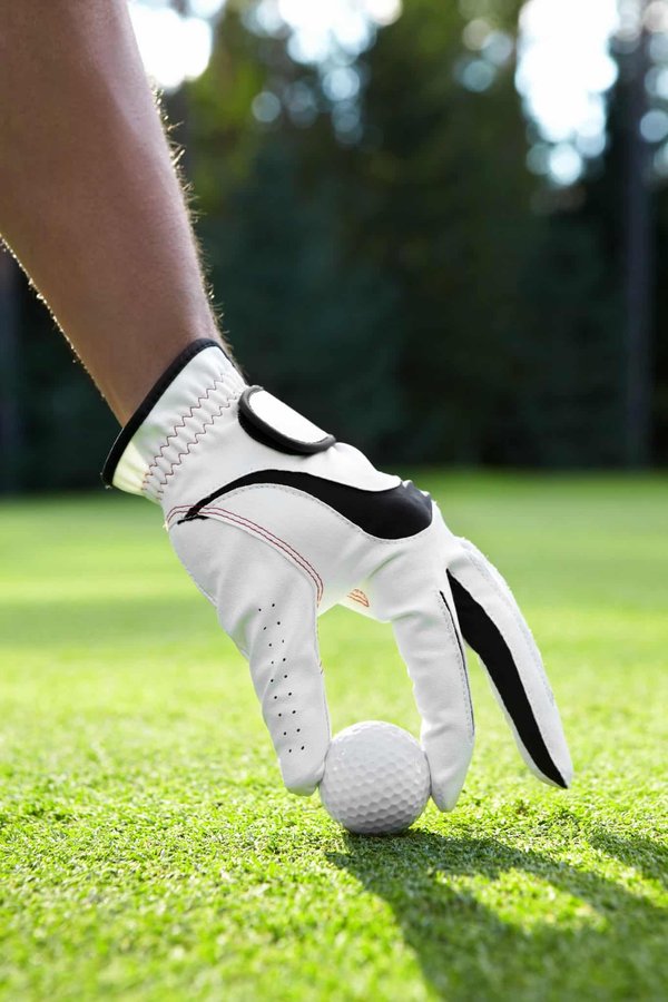 Quelles sont les options de croisière pour les amateurs de golf ?